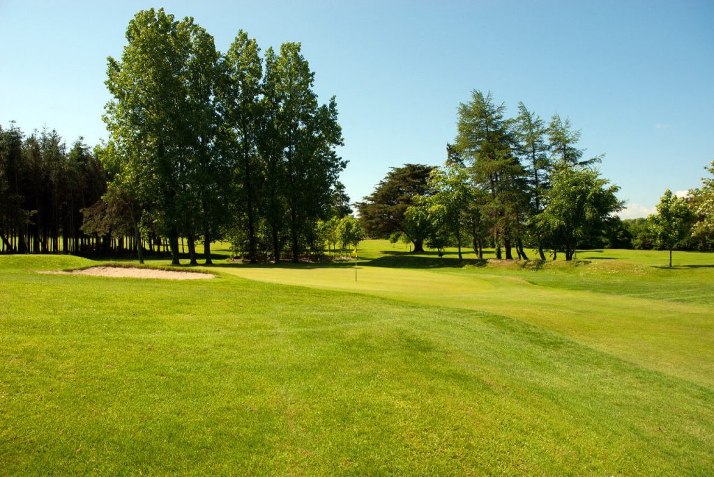 Lush golf course green with surrounding trees under a clear blue sky, perfect for a sunny day of golf.