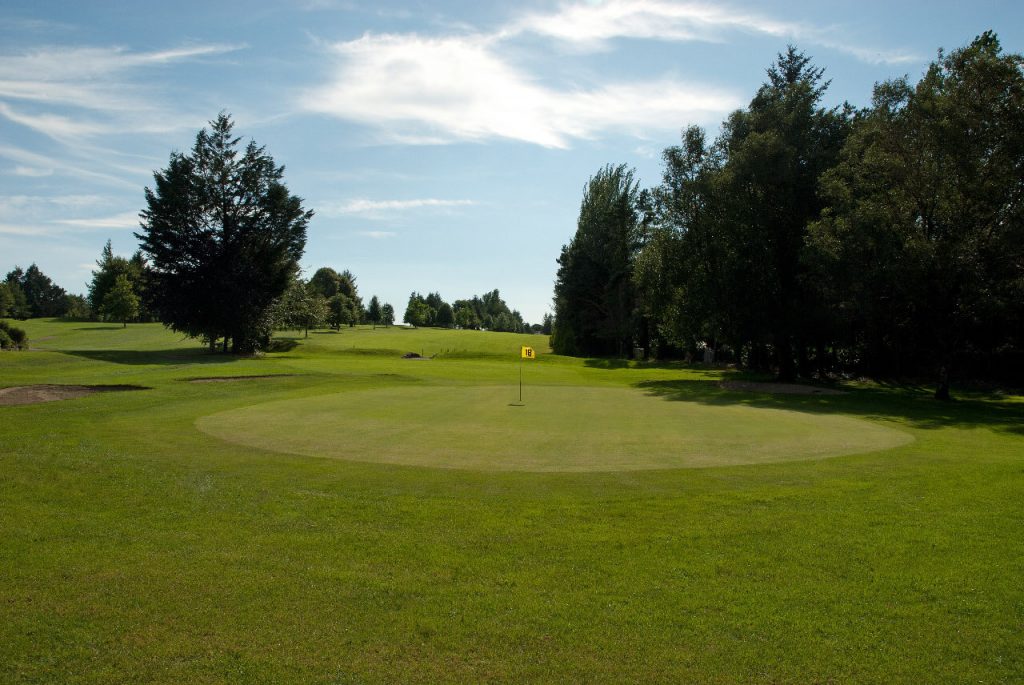 Golf course green with flagstick surrounded by trees under a blue sky.