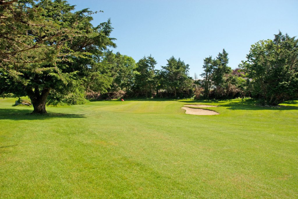 Sunny golf course with trees, green grass, and sand bunker under a clear blue sky.