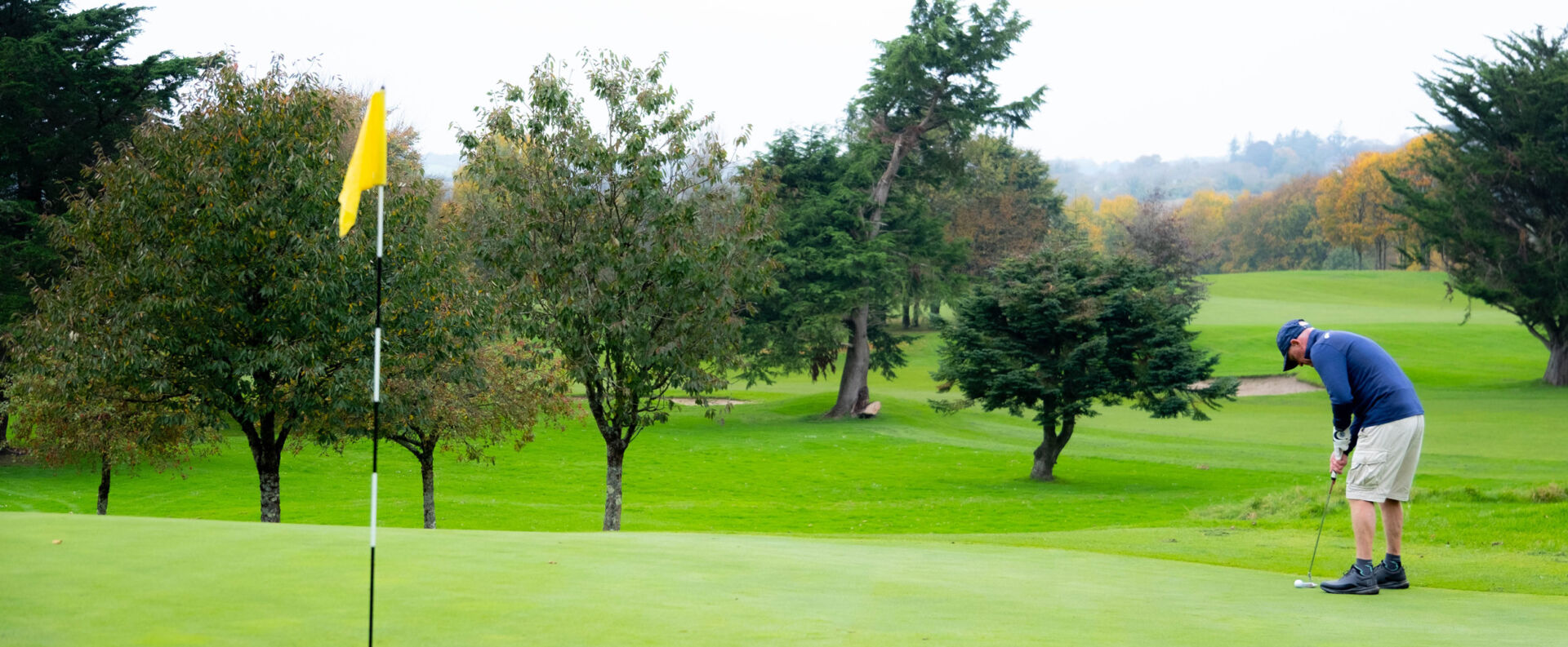 Golfer in blue and beige putting on a lush green course with a yellow flag, surrounded by trees on a cloudy day.