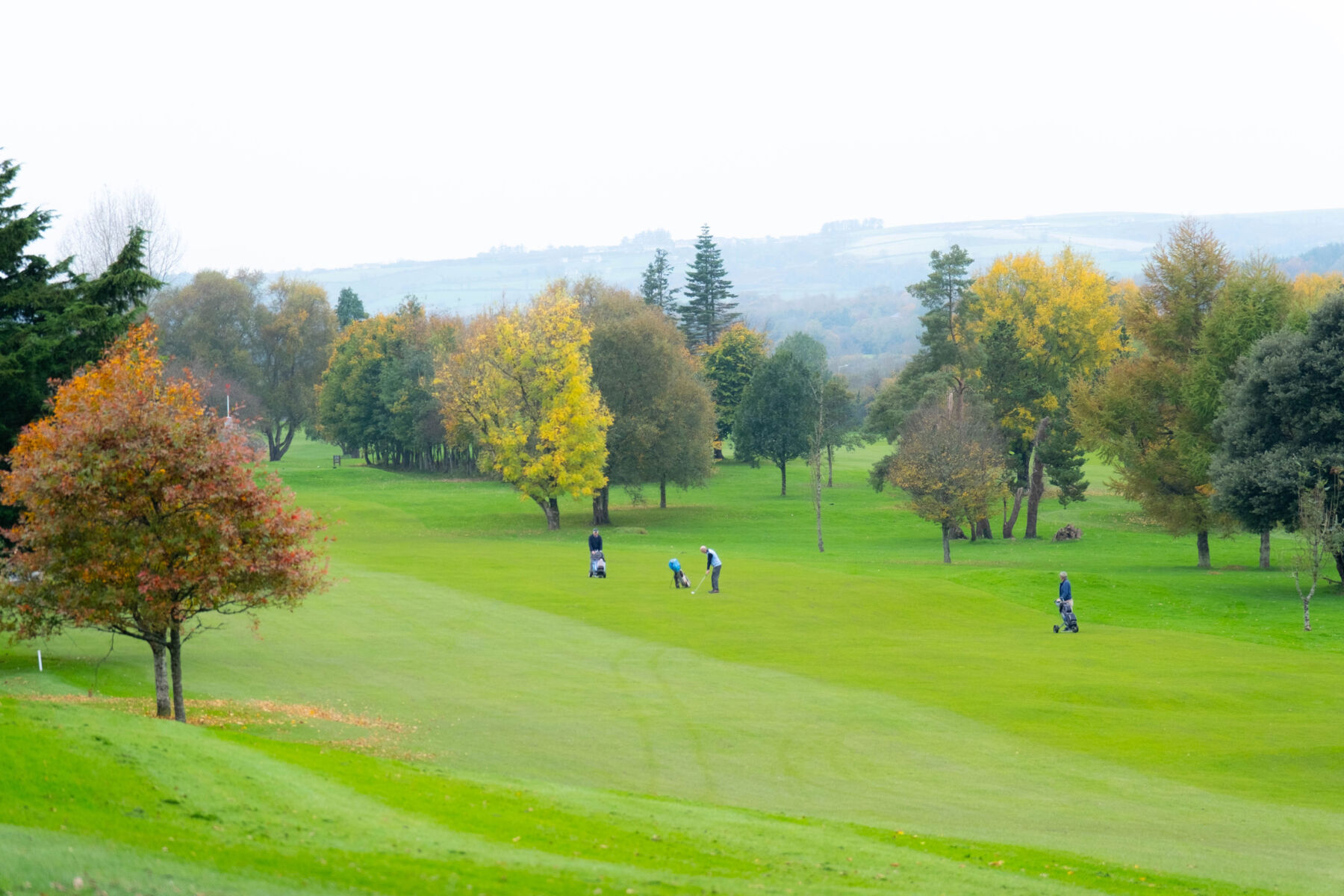 Golfers playing on a lush green course surrounded by colorful autumn trees under a clear sky.