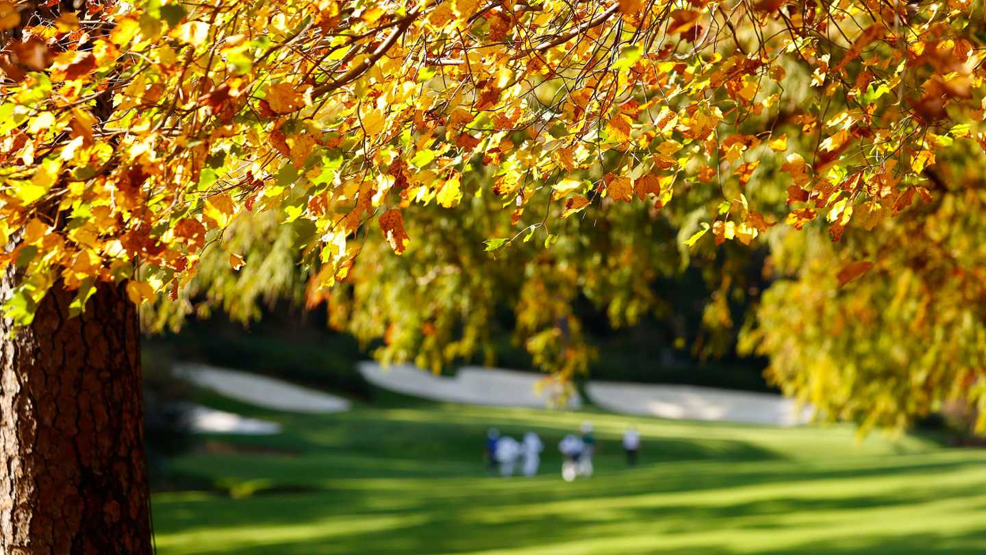 Autumn leaves frame a sunny golf course scene, creating a vibrant fall atmosphere.